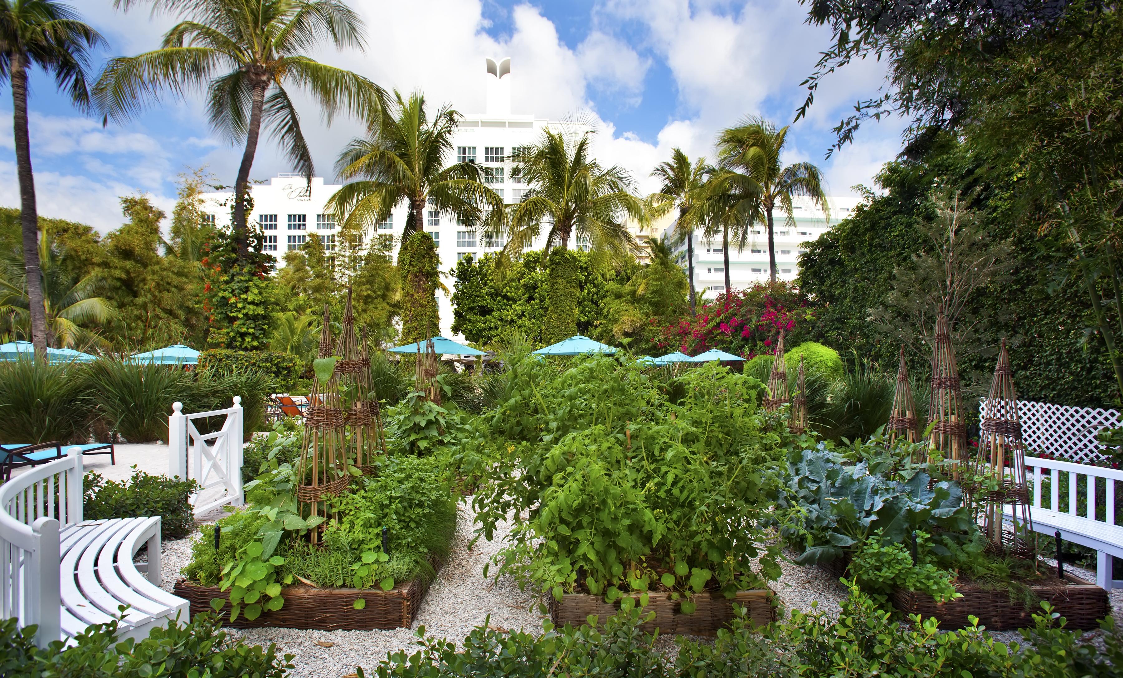 The Palms Hotel & Spa Miami Beach Exterior foto